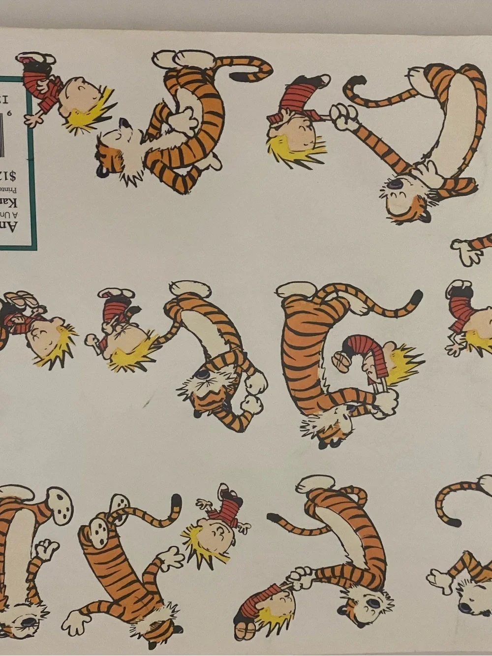 The Days Are Just Packed Calvin and Hobbes Bill Watterson Comic Collection 1993